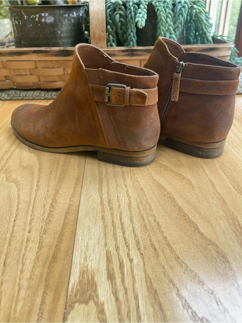 Franco Sarto Suede Ankle Booties in Cognac Brown